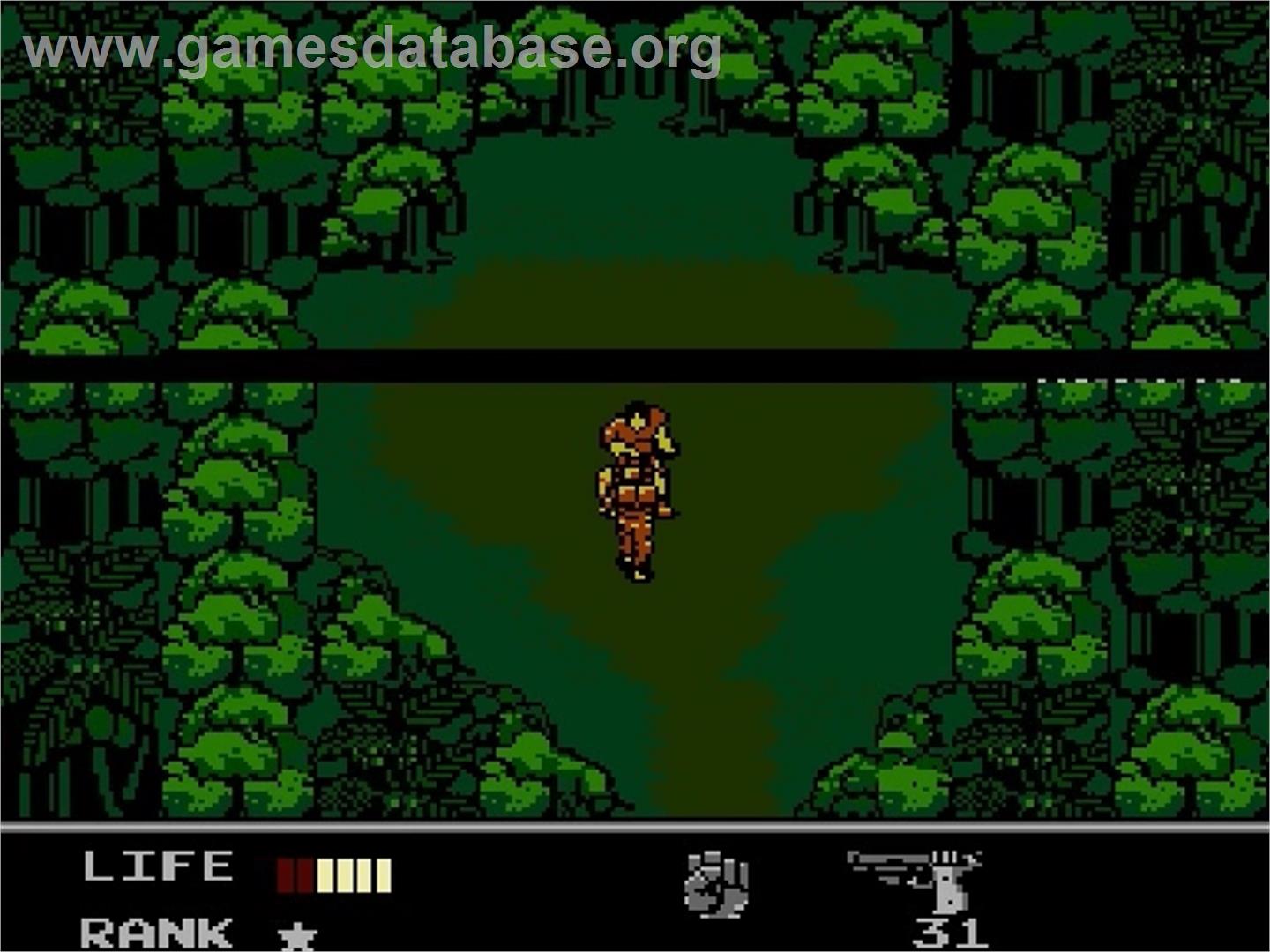 Snake's Revenge - Nintendo NES - Artwork - In Game