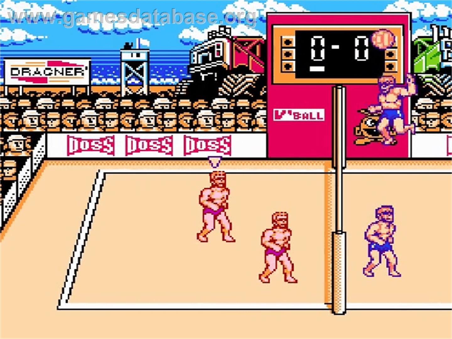 Super Spike V'Ball / Nintendo World Cup - Nintendo NES - Artwork - In Game