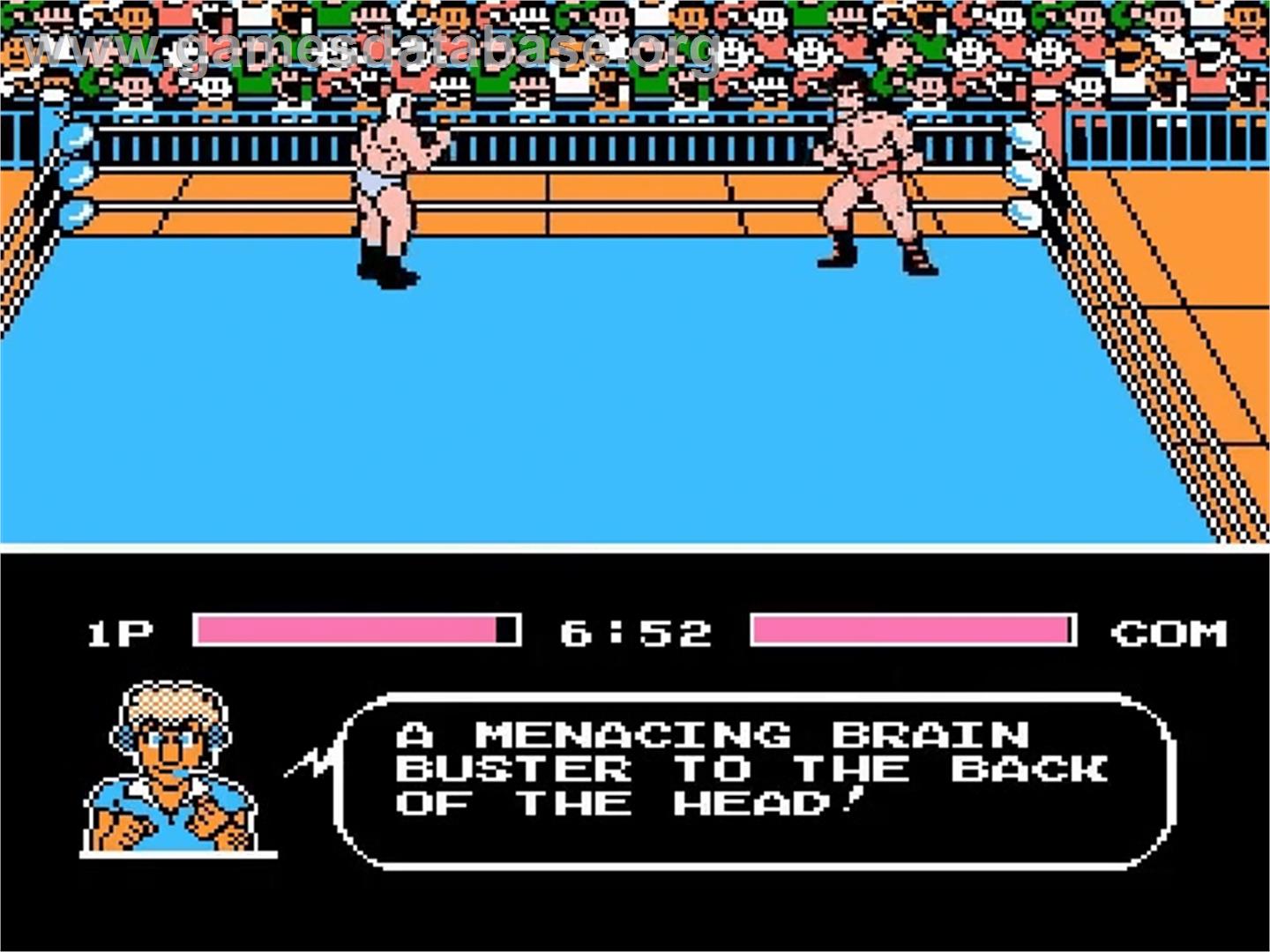 Tecmo World Wrestling - Nintendo NES - Artwork - In Game