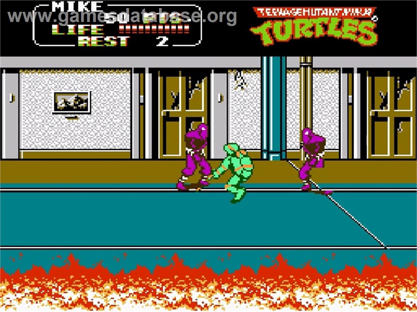 Teenage Mutant Ninja Turtles: Tournament Fighters - Nintendo NES - Artwork - In Game