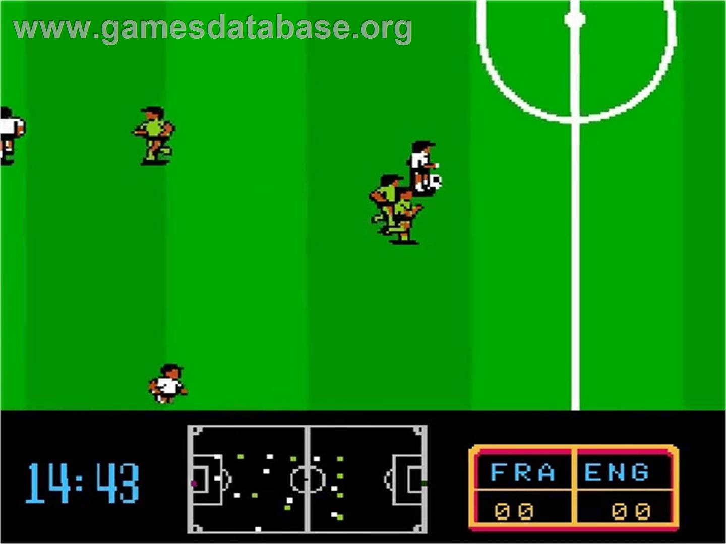 Ultimate League Soccer - Nintendo NES - Artwork - In Game