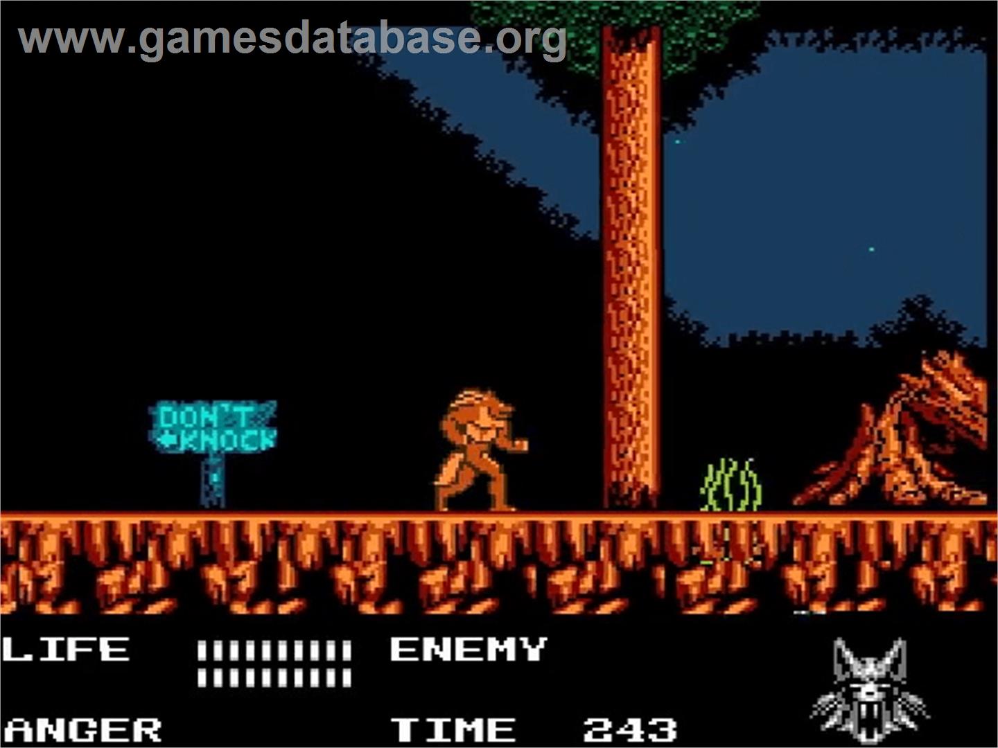 Werewolf: The Last Warrior - Nintendo NES - Artwork - In Game