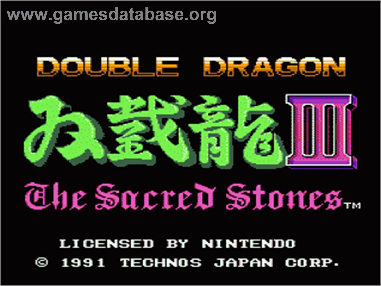 Double Dragon 3 - The Rosetta Stone - Nintendo NES - Artwork - Title Screen
