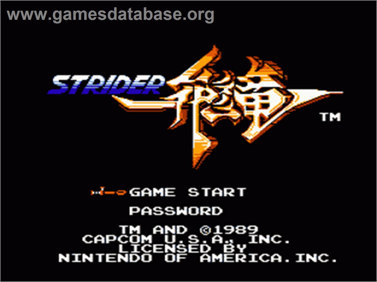 Strider - Nintendo NES - Artwork - Title Screen