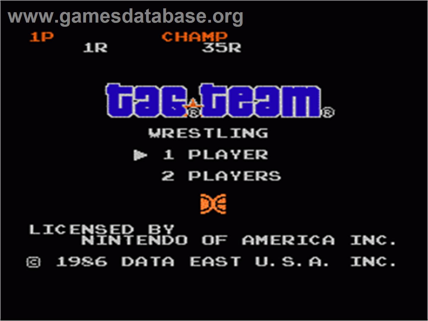Tag Team Wrestling - Nintendo NES - Artwork - Title Screen