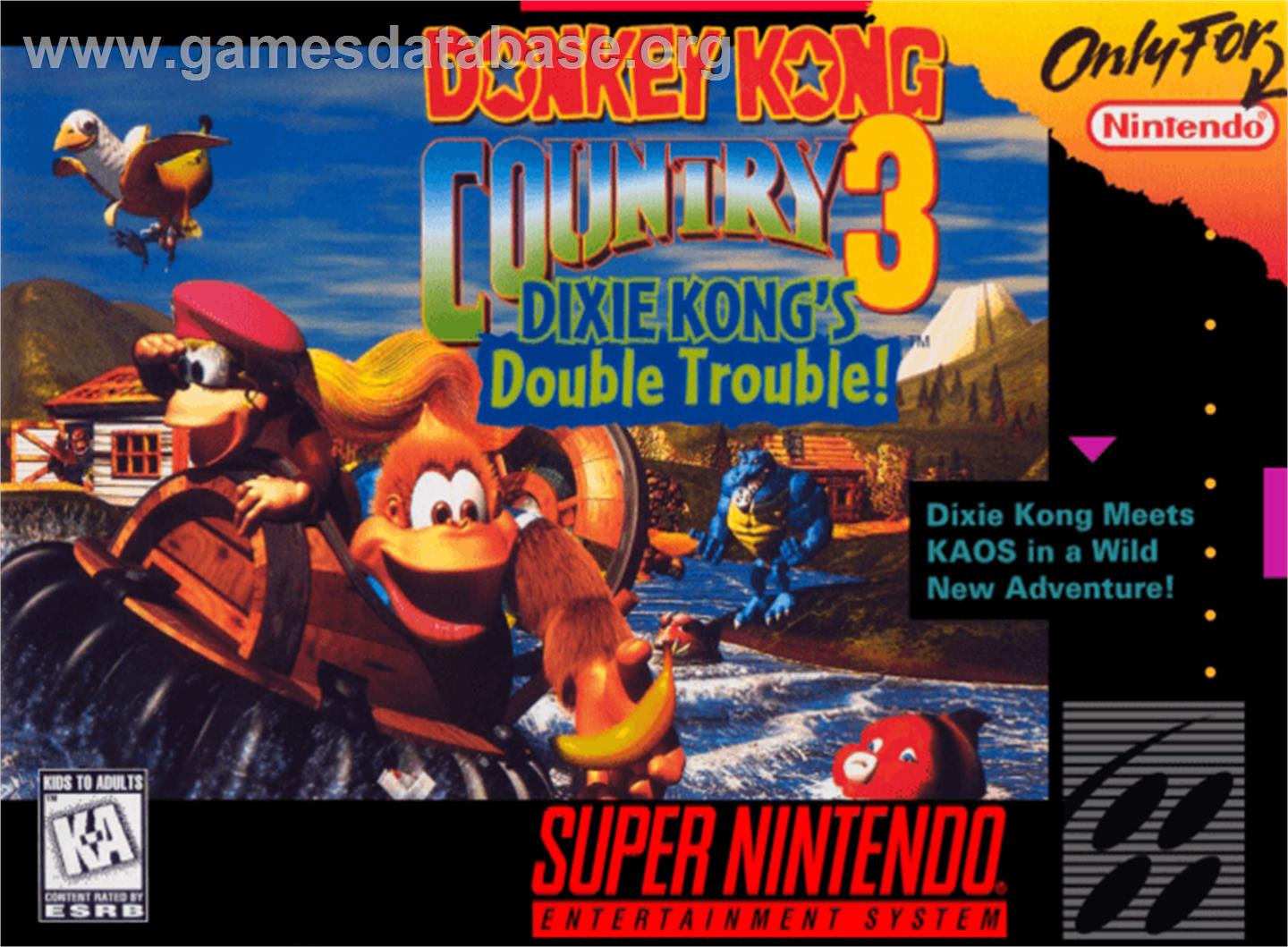 Donkey Kong Country 3: Dixie Kong's Double Trouble! - Nintendo SNES - Artwork - Box