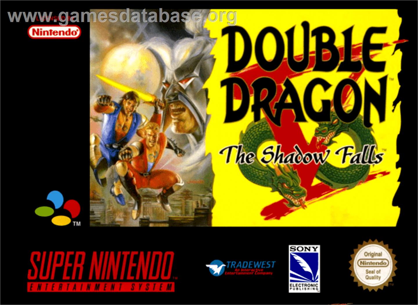 Double Dragon V: The Shadow Falls - Nintendo SNES - Artwork - Box