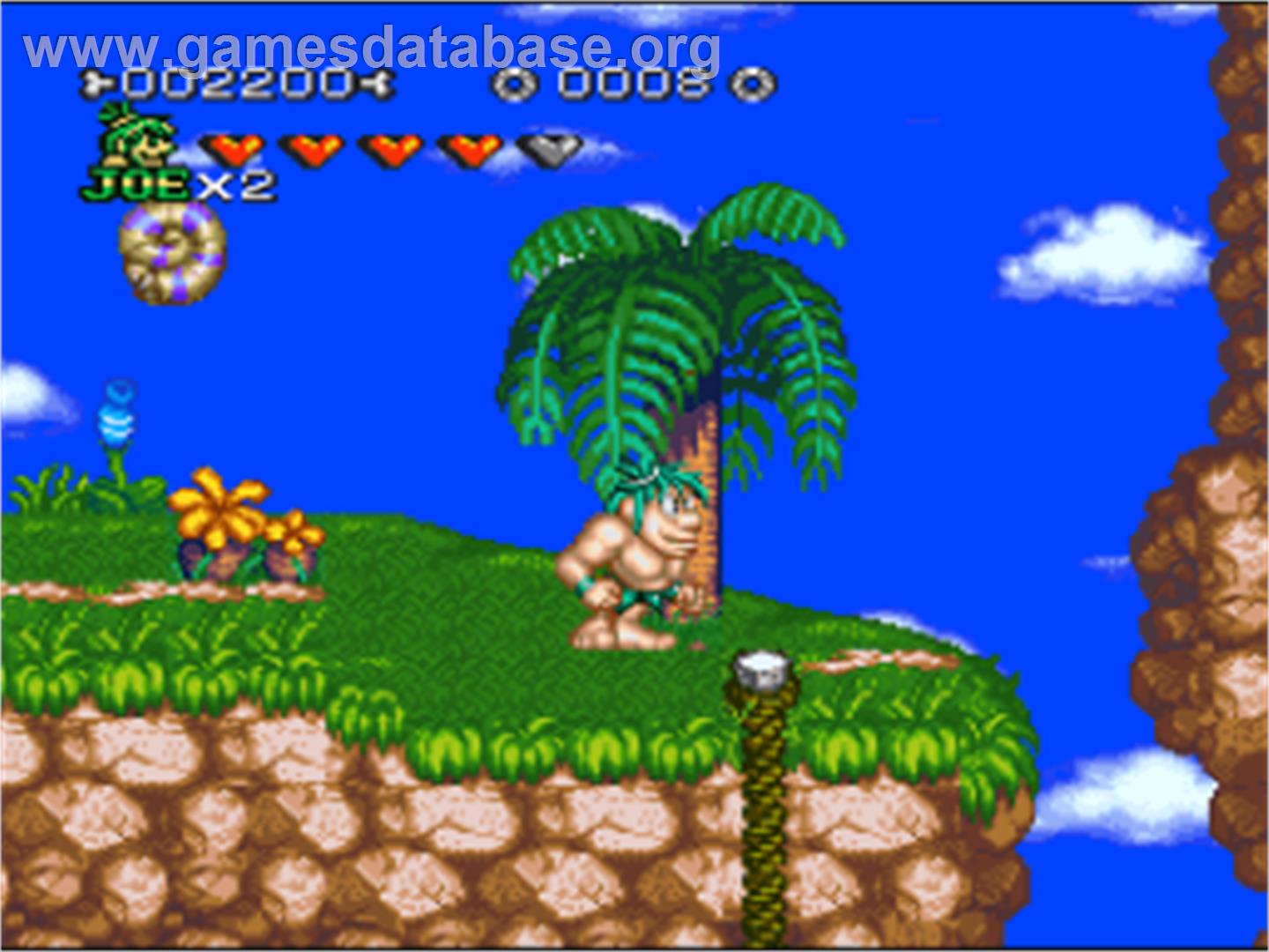 Joe & Mac 2: Lost in the Tropics - Nintendo SNES - Artwork - In Game