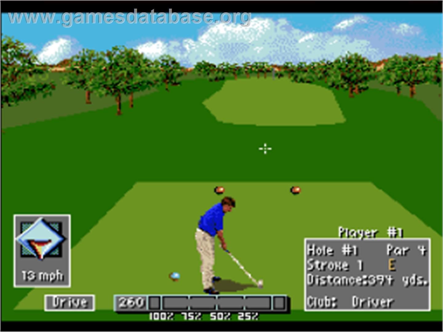 PGA European Tour - Nintendo SNES - Artwork - In Game