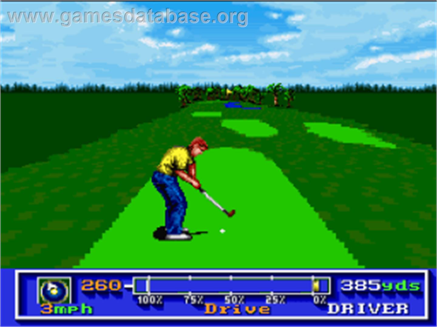 PGA Tour Golf - Nintendo SNES - Artwork - In Game