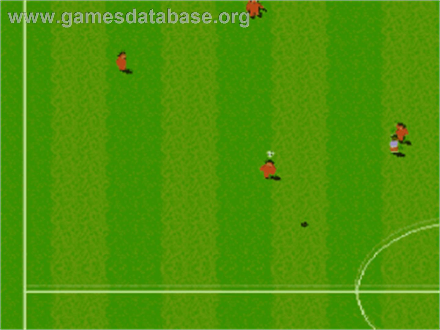 Sensible Soccer: European Champions - Nintendo SNES - Artwork - In Game