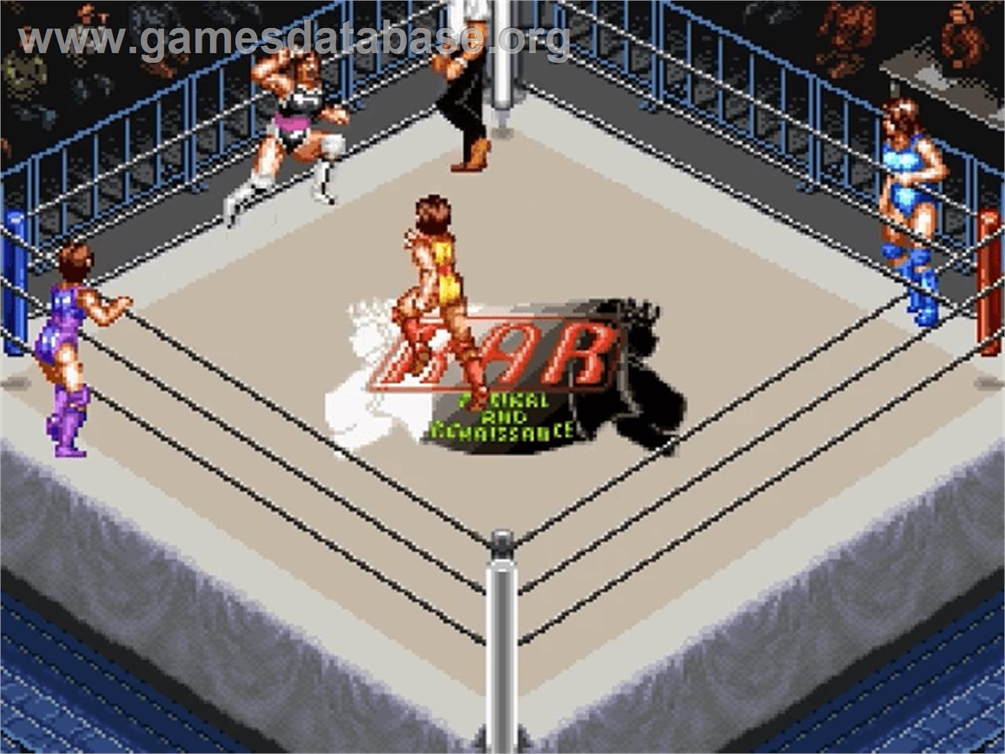 Super Fire Pro Wrestling Queen's Special - Nintendo SNES - Artwork - In Game