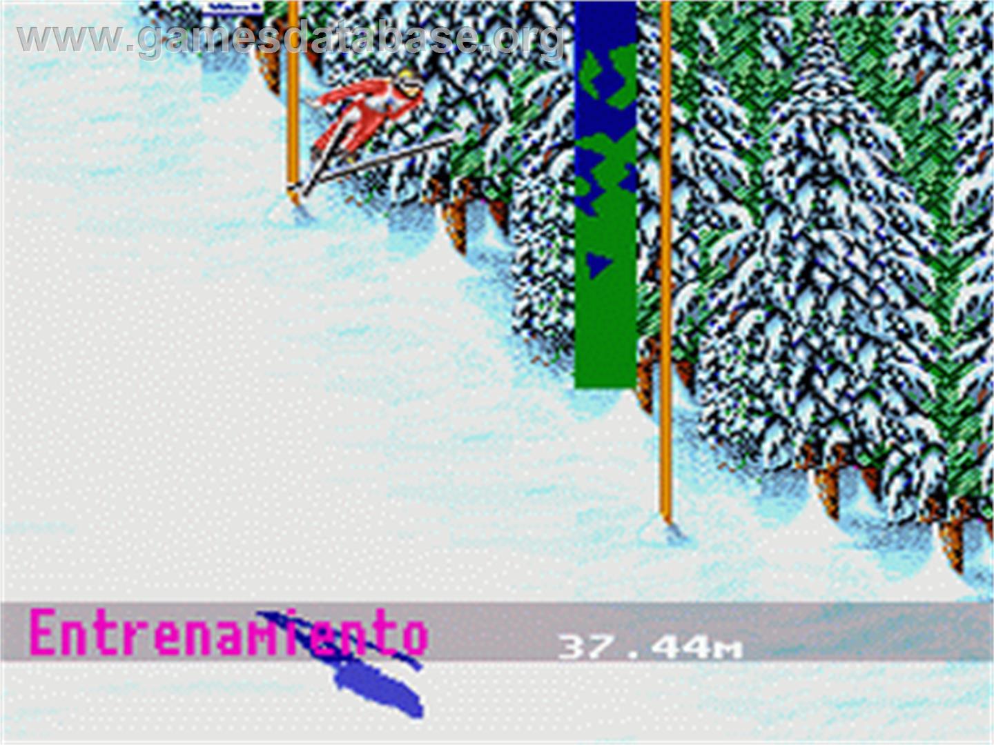 Winter Olympics: Lillehammer '94 - Nintendo SNES - Artwork - In Game