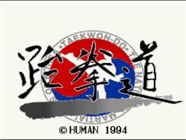 Title screen of Taekwondo on the Nintendo SNES.