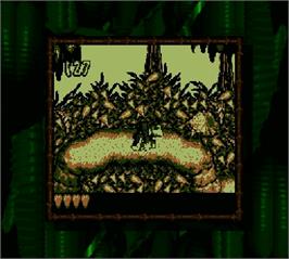 In game image of Donkey Kong Land on the Nintendo Super Gameboy.