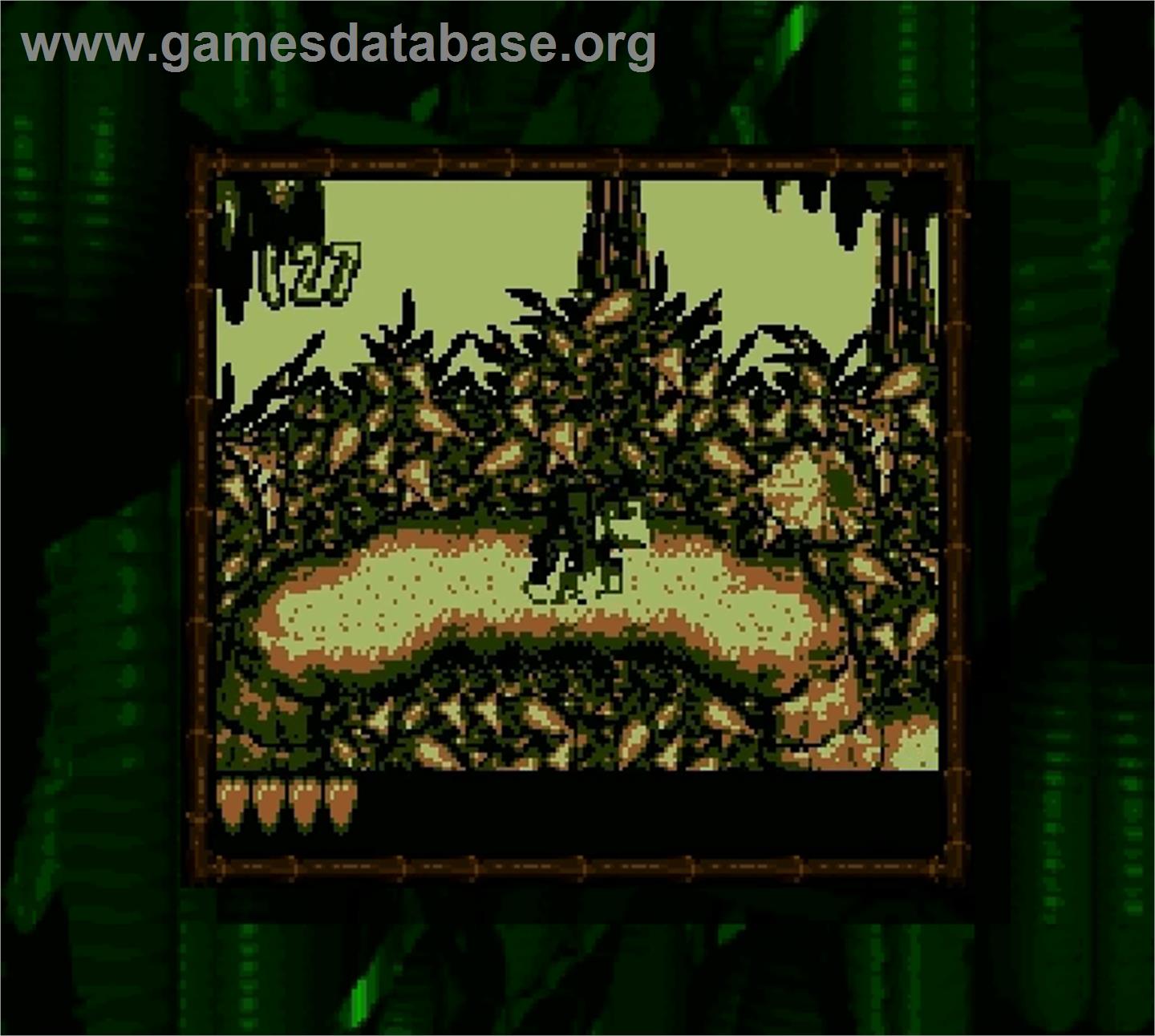 Donkey Kong Land - Nintendo Super Gameboy - Artwork - In Game