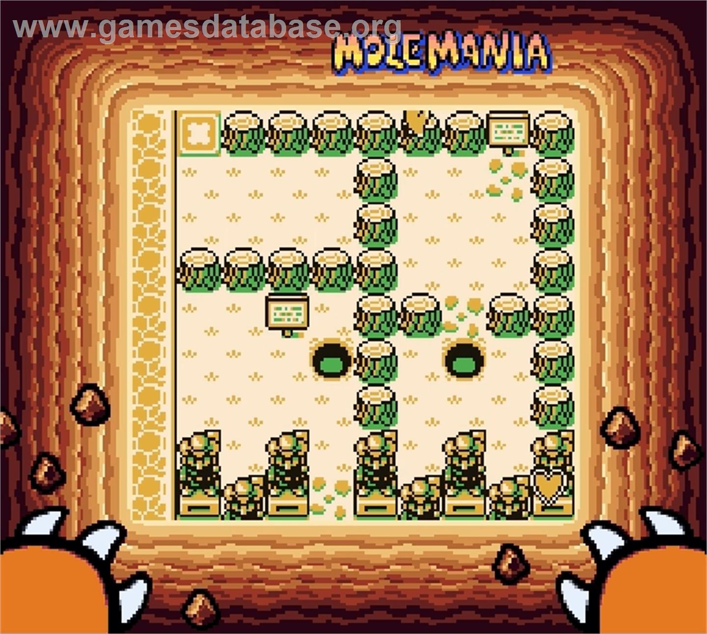 Mole Mania - Nintendo Super Gameboy - Artwork - In Game