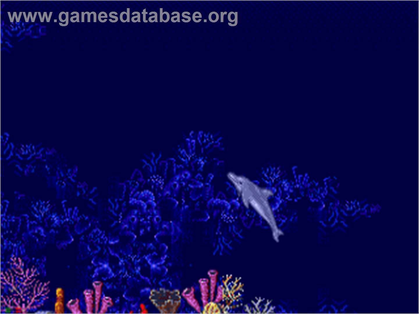 Ecco the Dolphin - Sega CD - Artwork - In Game