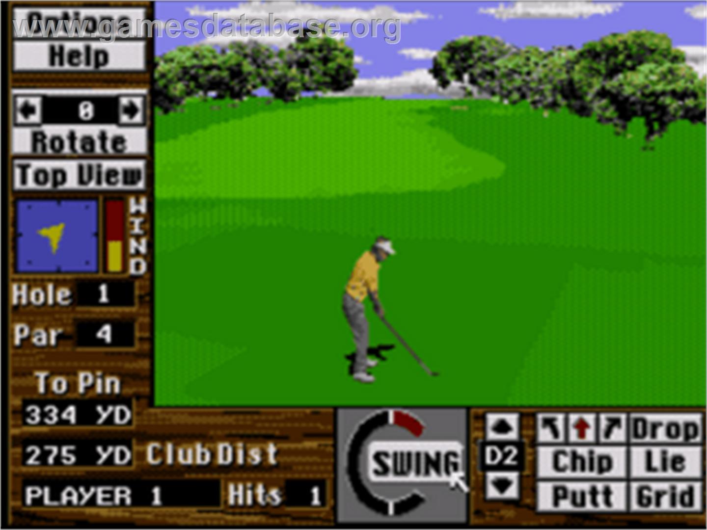Links: The Challenge of Golf - Sega CD - Artwork - In Game