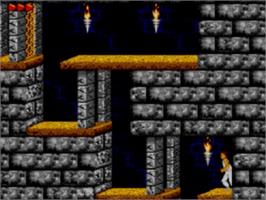 In game image of Prince of Persia on the Sega Game Gear.