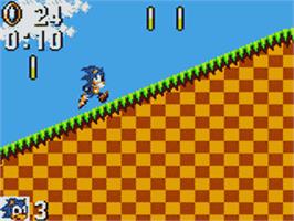 In game image of Sonic The Hedgehog on the Sega Game Gear.
