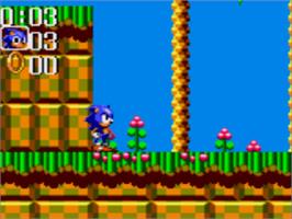 In game image of Sonic the Hedgehog Chaos on the Sega Game Gear.