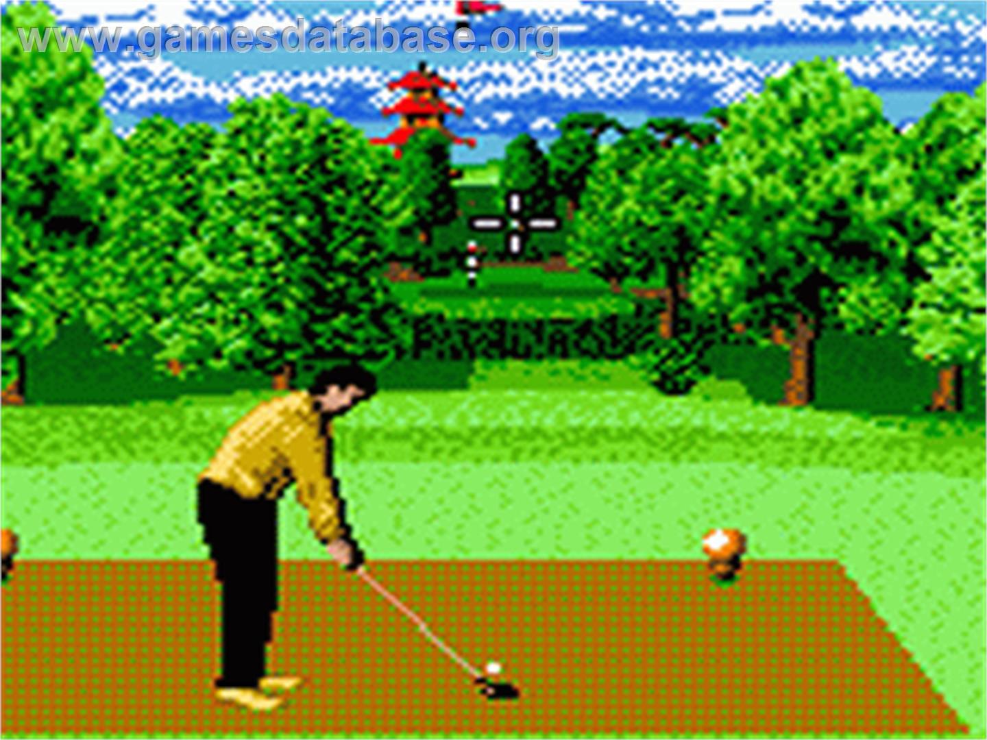 Ernie Els Golf - Sega Game Gear - Artwork - In Game