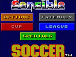 Title screen of Sensible Soccer: European Champions: 92/93 Edition on the Sega Game Gear.