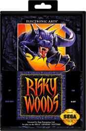 Box cover for Risky Woods on the Sega Genesis.