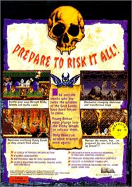 Box back cover for Risky Woods on the Sega Genesis.