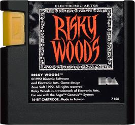 Cartridge artwork for Risky Woods on the Sega Genesis.