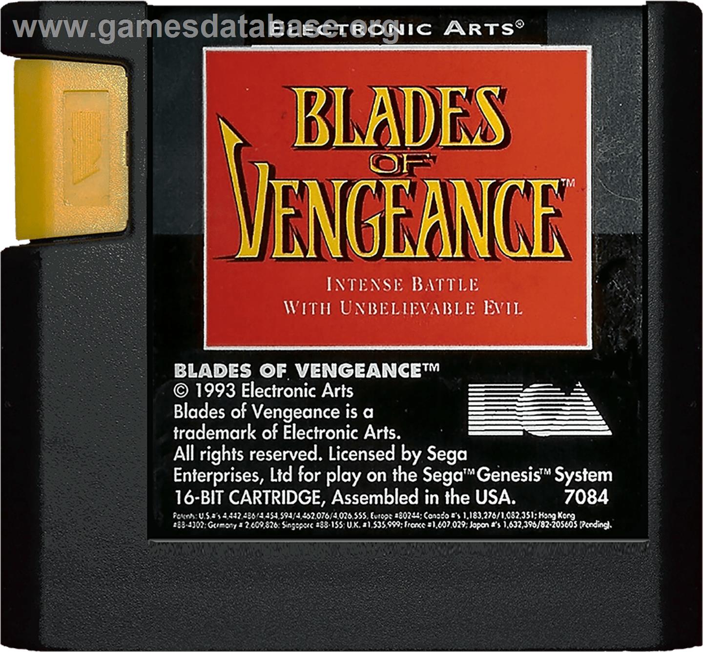 Blades of Vengeance - Sega Genesis - Artwork - Cartridge