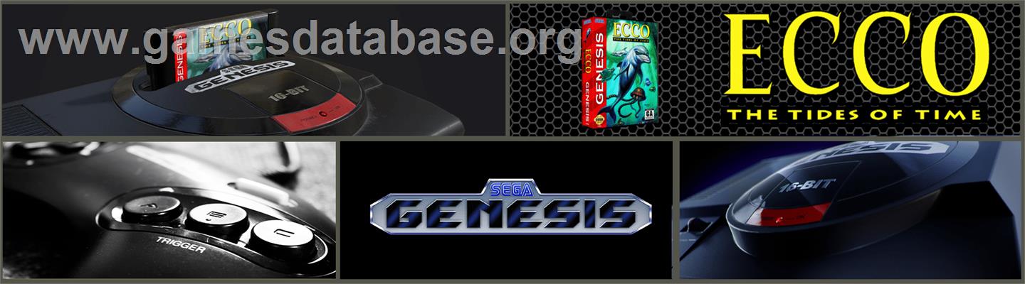 Ecco 2: The Tides of Time - Sega Genesis - Artwork - Marquee