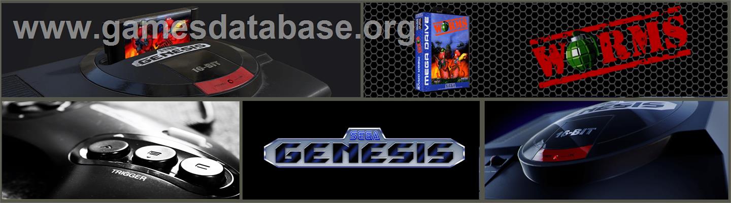 Worms - Sega Genesis - Artwork - Marquee