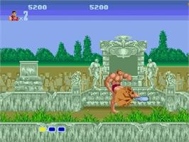 In game image of Altered Beast on the Sega Genesis.