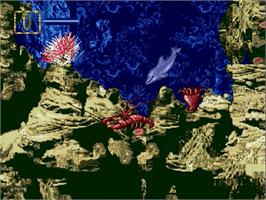In game image of Ecco Jr. on the Sega Genesis.