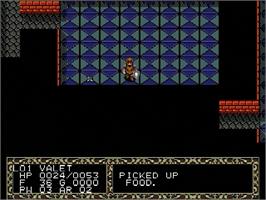 In game image of Fatal Labyrinth on the Sega Genesis.