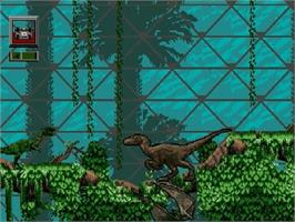 In game image of Jurassic Park - Rampage Edition on the Sega Genesis.