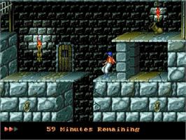 In game image of Prince of Persia on the Sega Genesis.