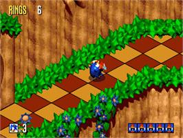 In game image of Sonic 3D Blast on the Sega Genesis.