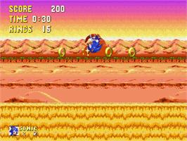 In game image of Sonic and Knuckles on the Sega Genesis.