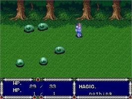 In game image of Sword of Vermilion on the Sega Genesis.