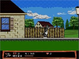 In game image of Tom and Jerry - Frantic Antics on the Sega Genesis.