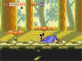 In game image of World of Illusion starring Mickey Mouse and Donald Duck on the Sega Genesis.