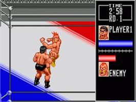 In game image of Wrestle War on the Sega Genesis.