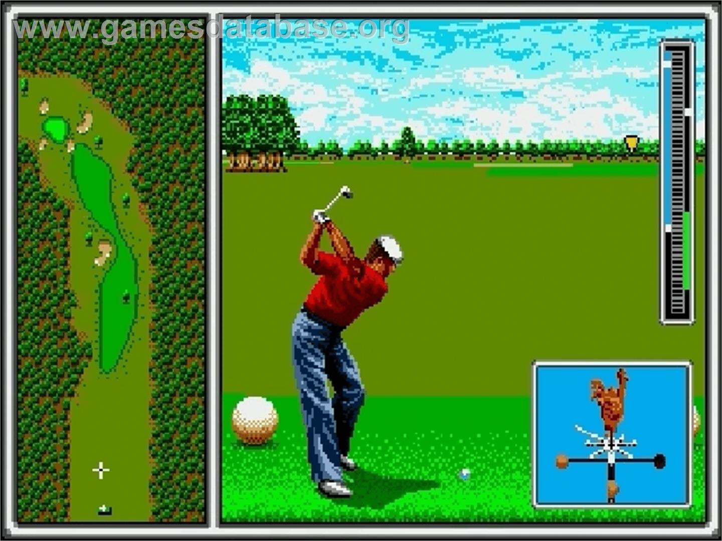 Arnold Palmer Tournament Golf - Sega Genesis - Artwork - In Game