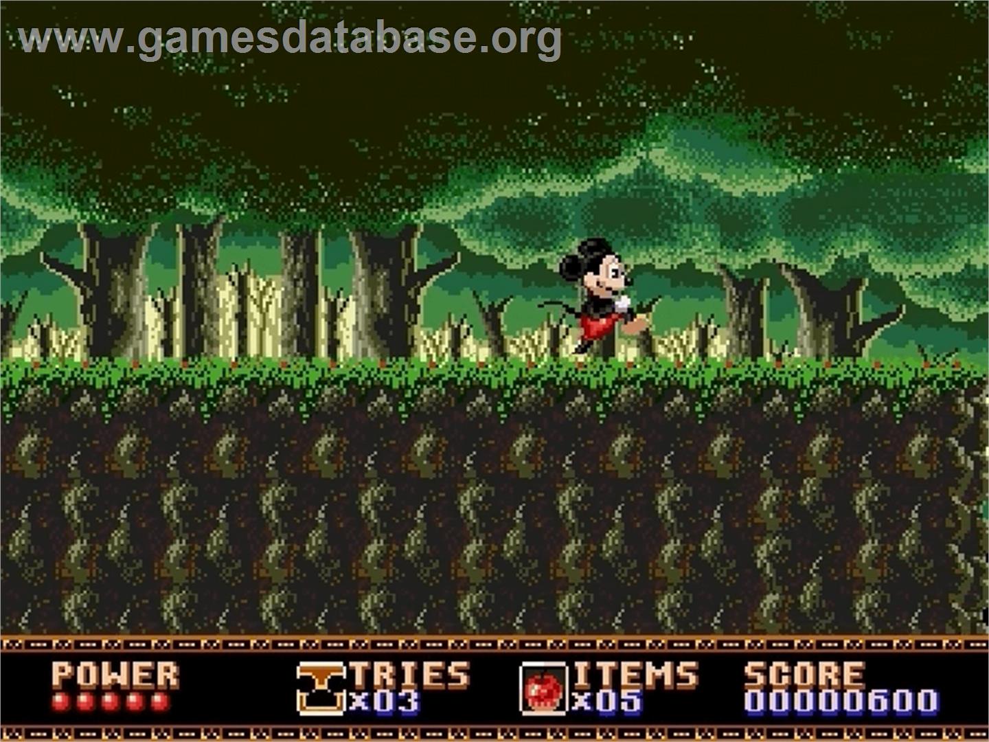 Castle of Illusion starring Mickey Mouse - Sega Genesis - Artwork - In Game