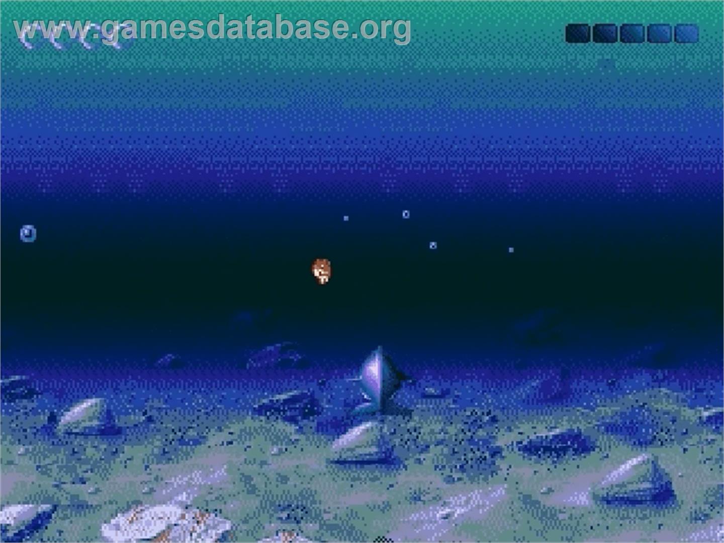 Ecco 2: The Tides of Time - Sega Genesis - Artwork - In Game