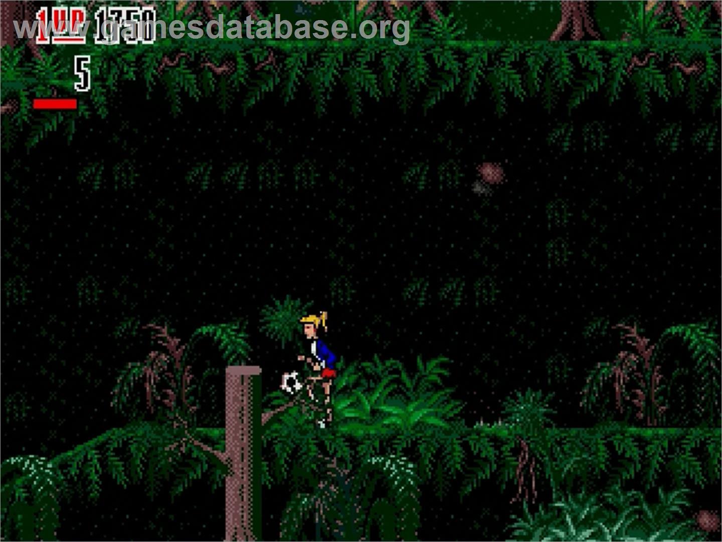 Hurricanes, The - Sega Genesis - Artwork - In Game