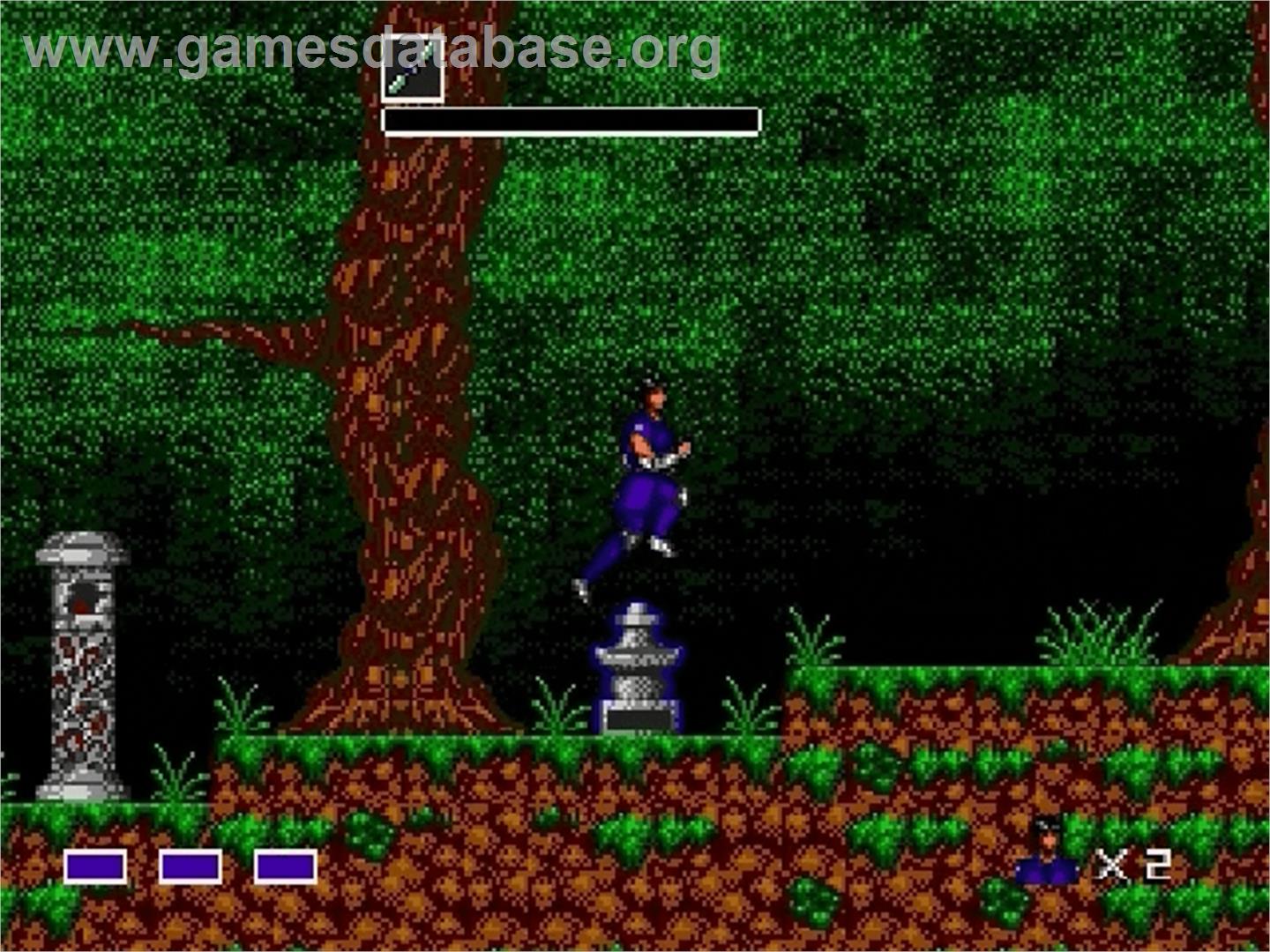 Mystic Defender - Sega Genesis - Artwork - In Game